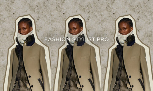 Fashion Stylist. Pro